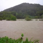 増水した賀茂川