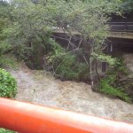 増水した賀茂川
